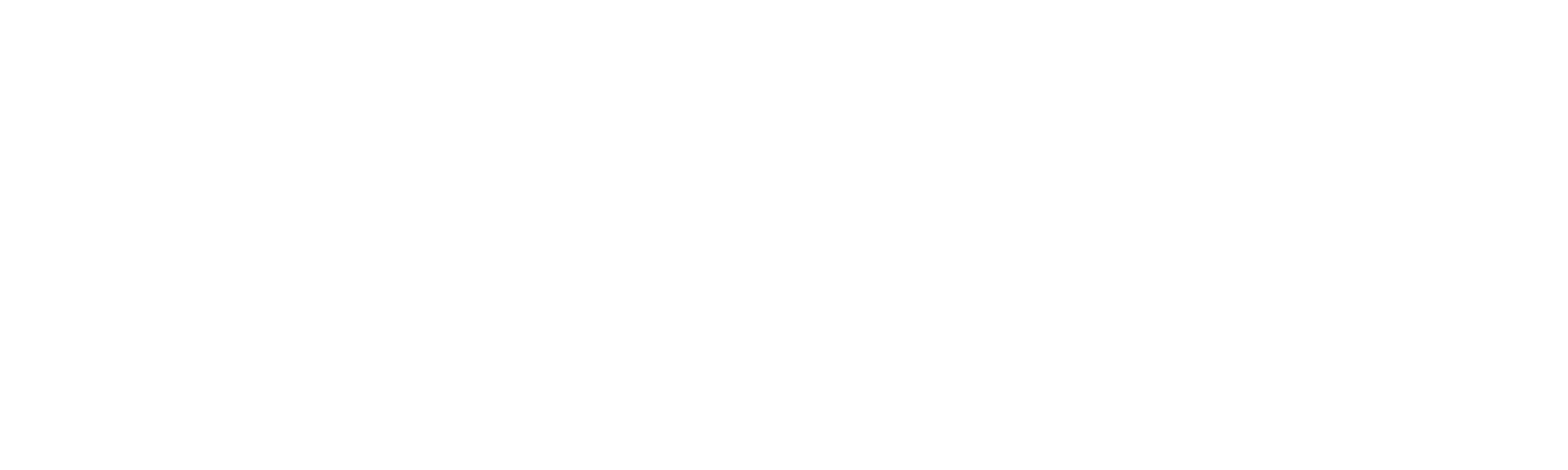 Macron_logo_horizontal_white